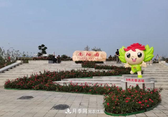 第十屆中國(guó)月季展覽會(huì)，南陽(yáng)園和鄭州園亮相(圖2)
