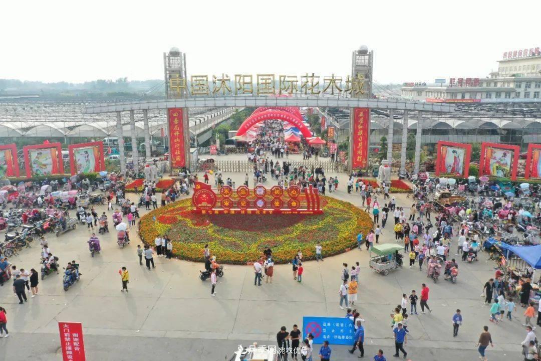 花木盛會(huì)，2020第八屆中國(guó)?沭陽(yáng)花木節(jié)將于9月29日開幕！誠(chéng)邀您大駕光臨！(圖2)