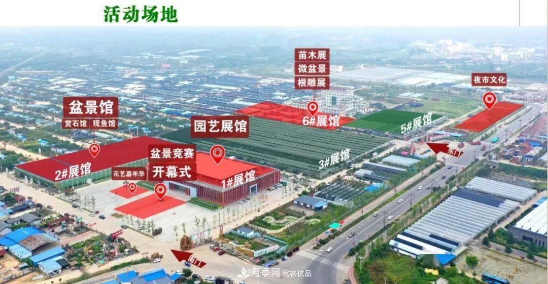花木盛會(huì)，2020第八屆中國(guó)?沭陽(yáng)花木節(jié)將于9月29日開幕！誠(chéng)邀您大駕光臨！(圖6)