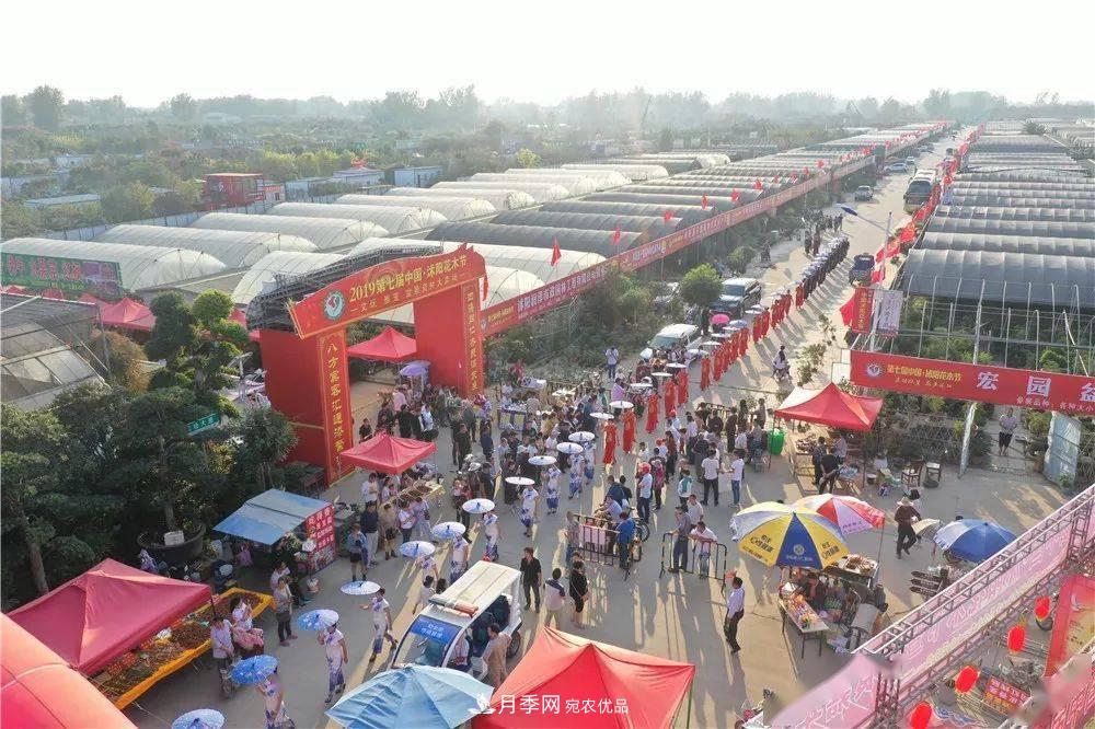 花木盛會(huì)，2020第八屆中國(guó)?沭陽(yáng)花木節(jié)將于9月29日開幕！誠(chéng)邀您大駕光臨！(圖13)