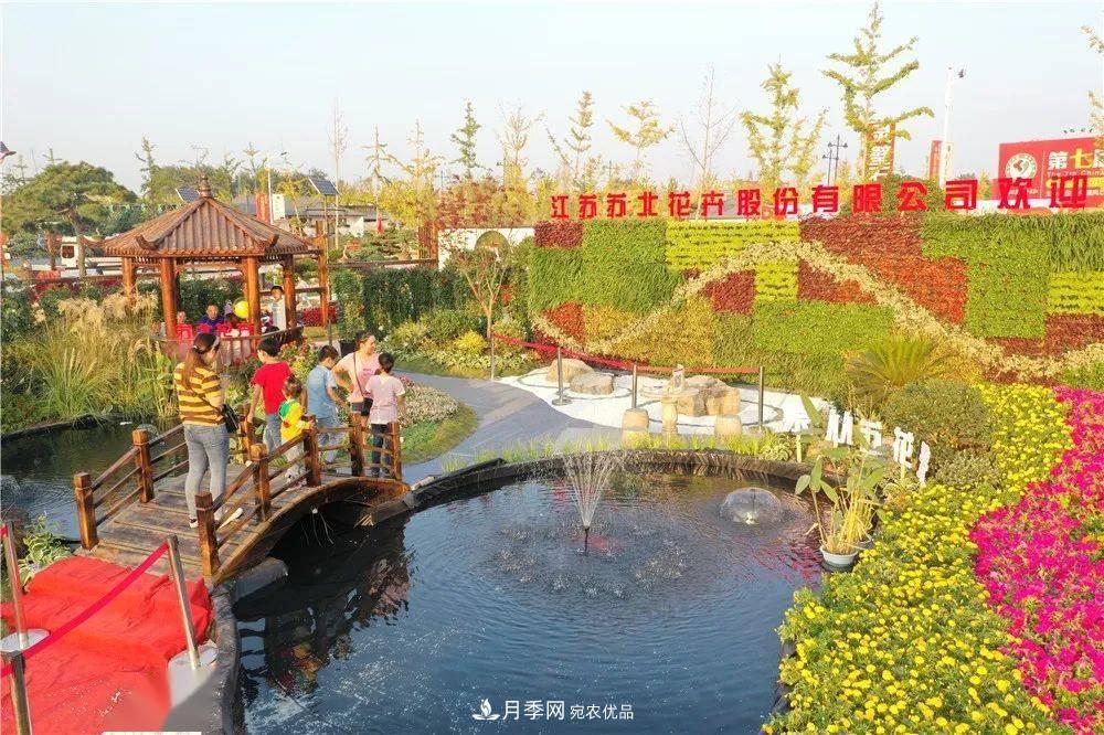 花木盛會(huì)，2020第八屆中國(guó)?沭陽(yáng)花木節(jié)將于9月29日開幕！誠(chéng)邀您大駕光臨！(圖14)