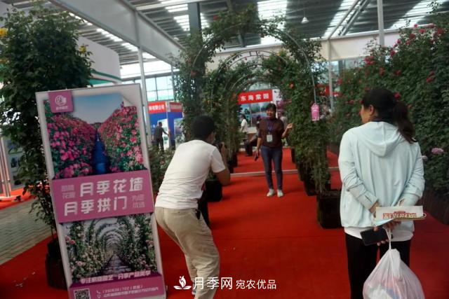 焦“綠”的苗木人，在山東昌邑園林花木會展上收獲了什么(圖3)