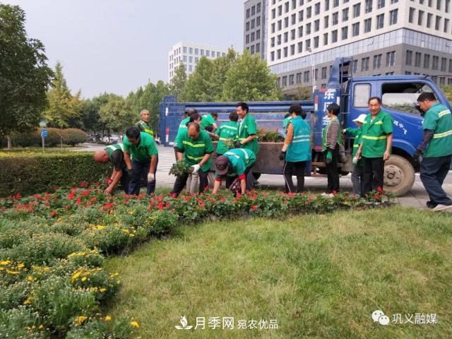 美！6萬(wàn)盆景觀花卉扮靚鄭州鞏義城區(qū)(圖2)