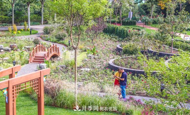北京大興納波灣月季園新增33個(gè)主題園(相冊(cè))(圖3)