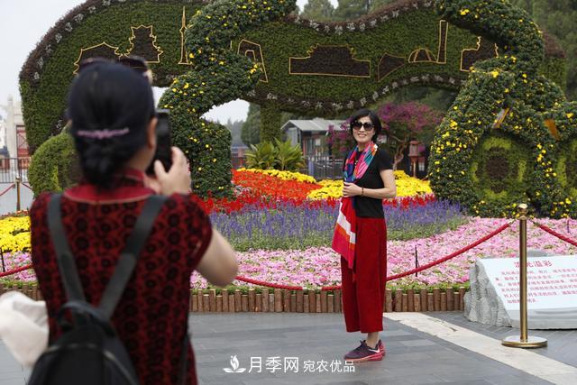 北京天壇公園國(guó)慶花壇亮相，萬株月季節(jié)日迎客(圖1)