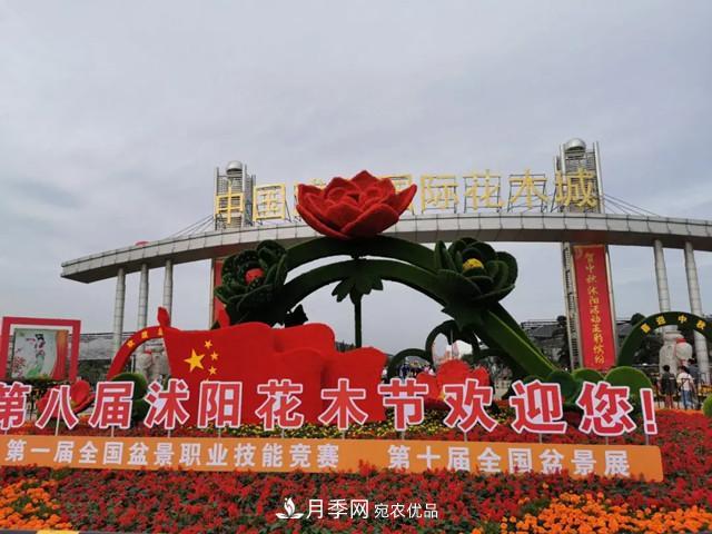 第八屆中國(guó)·沭陽花木節(jié)開幕，參觀盆景界的“奧林匹克”(圖1)