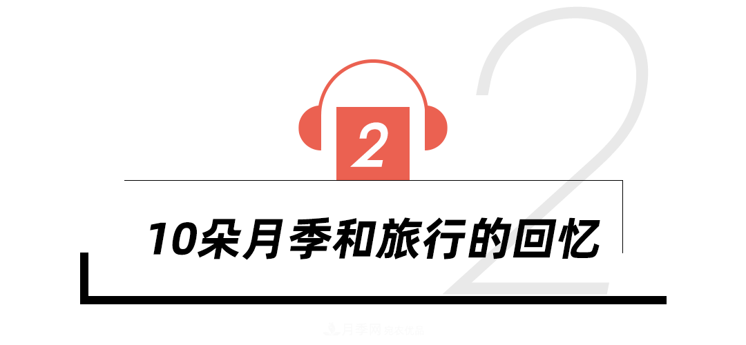 陳丹燕：不能旅行的日子，她開始與月季對話(圖8)