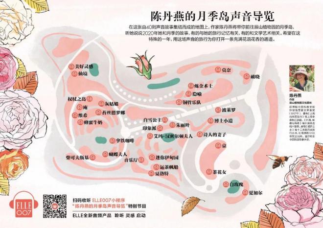 陳丹燕：不能旅行的日子，她開始與月季對話(圖15)