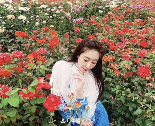中國抖起來國慶網(wǎng)紅打卡地！蘇州月季花海等你來……(圖7)