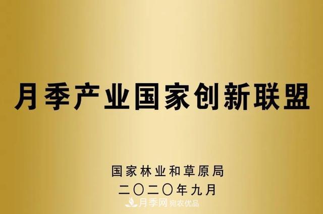 月季產業(yè)國家創(chuàng)新聯(lián)盟成立大會在安徽阜陽召開(圖5)