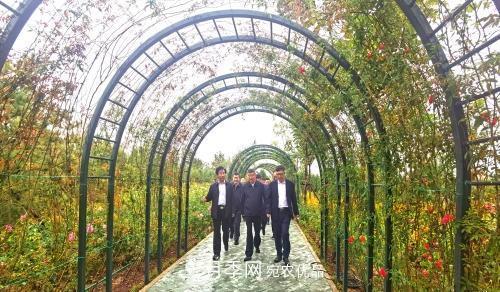紀念南水北調南陽深厚友誼，北京京宛友誼月季園開園(圖2)