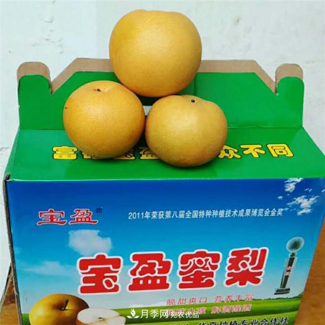 南水北調(diào)有機(jī)寶盈蜜梨，南陽淅川特產(chǎn)水果批發(fā)(圖3)