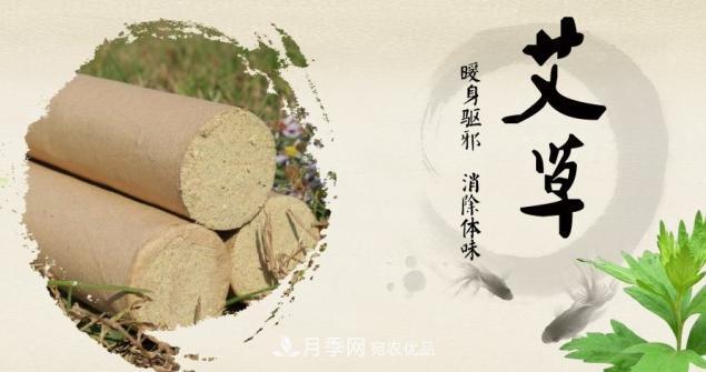 南陽仲景艾草產業(yè)占全國70%份額，年產值10億元，叫響世界？(圖1)