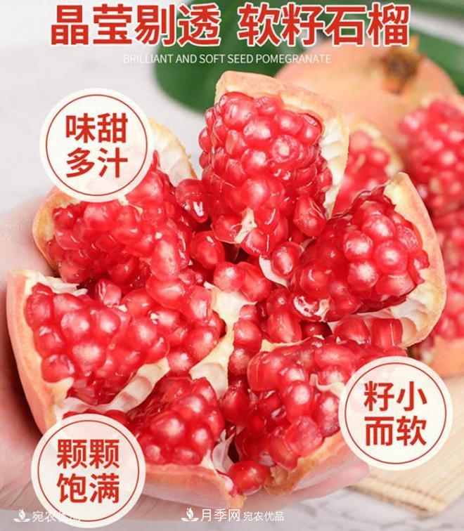 淅川突尼斯軟籽石榴基地批發(fā)價(jià)格，好水果(圖1)