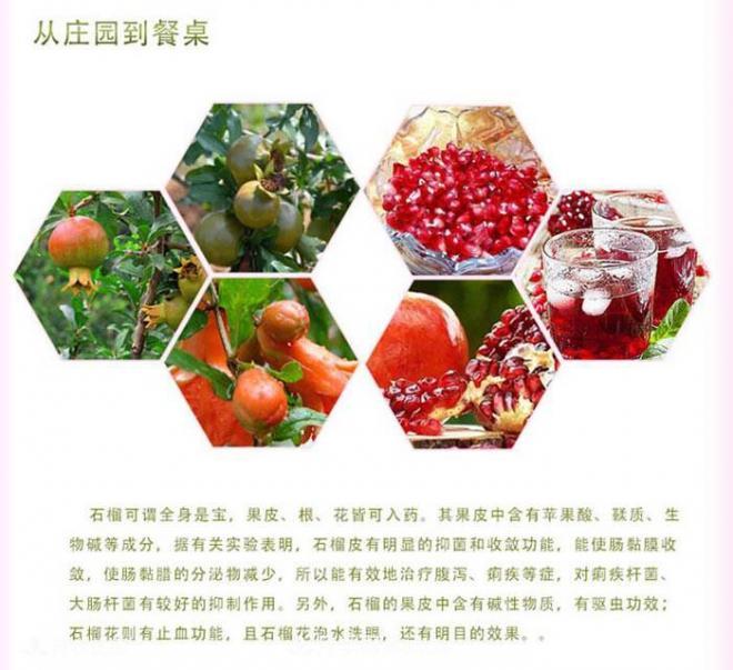 淅川突尼斯軟籽石榴基地批發(fā)價(jià)格，好水果(圖2)