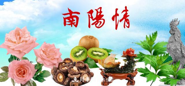 南陽名優(yōu)特農(nóng)產(chǎn)品，中國之鄉(xiāng)譽(yù)響中國(圖1)