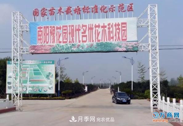 南陽豫花園苗木示范區(qū)：以生態(tài)為本打造現(xiàn)代農業(yè)“大花園”(圖1)