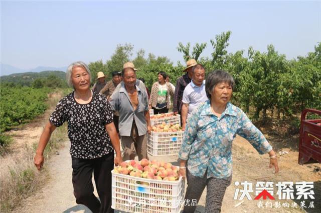 南陽市南召縣南河店鎮(zhèn) 培育綠色農(nóng)業(yè)產(chǎn)業(yè)共享生態(tài)紅利(圖2)