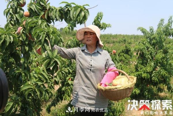 南陽市南召縣南河店鎮(zhèn) 培育綠色農(nóng)業(yè)產(chǎn)業(yè)共享生態(tài)紅利(圖1)