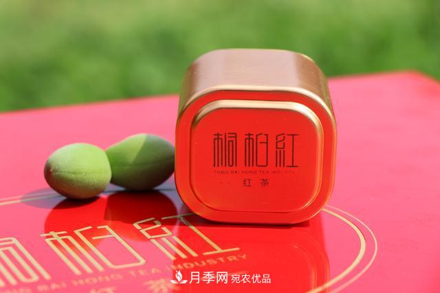 南陽(yáng)特產(chǎn)：桐柏紅茶葉(圖1)
