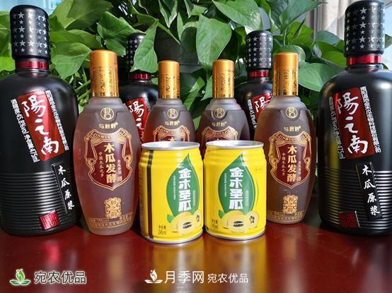 走進(jìn)南陽市方城縣柳河鎮(zhèn)金木瓜基地(圖2)