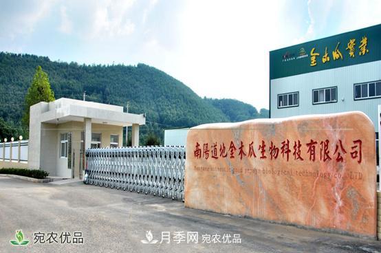 走進(jìn)南陽市方城縣柳河鎮(zhèn)金木瓜基地(圖1)