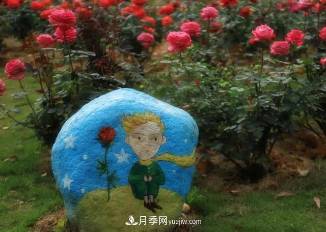 月季/玫瑰花是***具推廣的潛力花木，不用擔(dān)心它的未來(圖1)