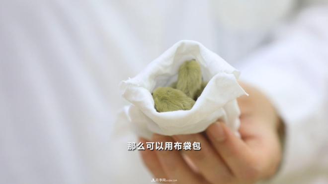 公園里種的玉蘭也是一味藥材，是真的嗎？(圖7)