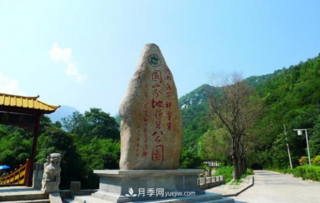 河南五個綠色“海洋”，在20度的森林中呼吸，讓你流連忘返(圖1)