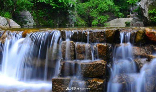 河南五個綠色“海洋”，在20度的森林中呼吸，讓你流連忘返(圖2)