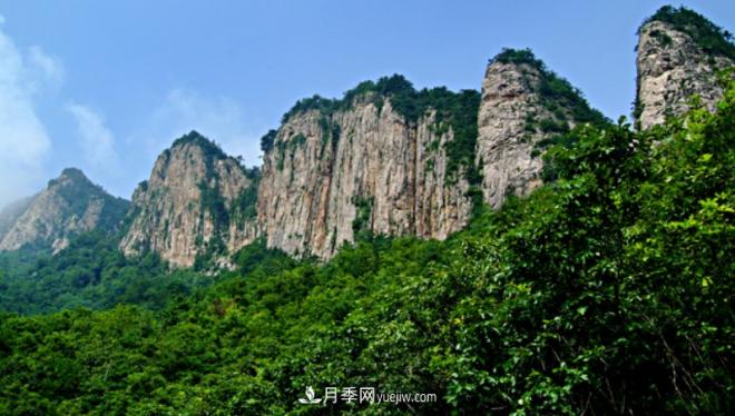 河南五個綠色“海洋”，在20度的森林中呼吸，讓你流連忘返(圖3)