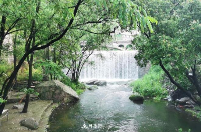 河南五個綠色“海洋”，在20度的森林中呼吸，讓你流連忘返(圖4)
