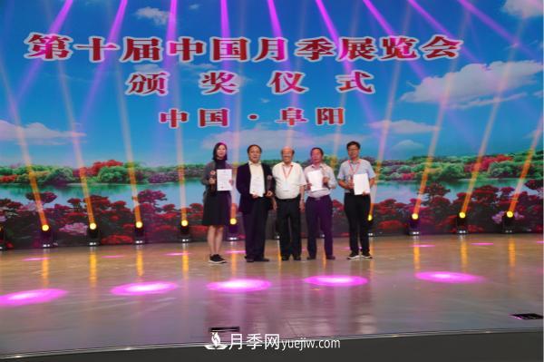 第十屆中國(guó)月季展覽會(huì)南陽市榮獲獎(jiǎng)項(xiàng)40余項(xiàng)(圖3)