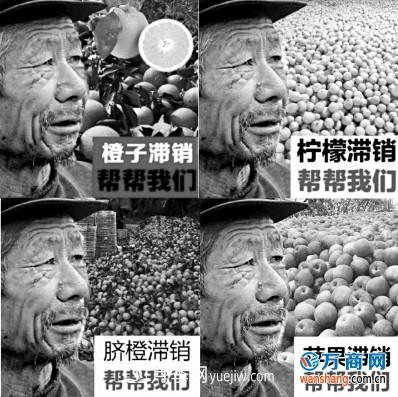 網(wǎng)售滯銷(xiāo)農(nóng)產(chǎn)品只有四成是真的(圖1)