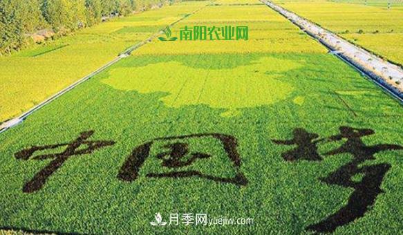 南陽(yáng)2019年農(nóng)業(yè)十佳產(chǎn)業(yè)基地和扶貧電商都有誰(shuí)？(圖1)