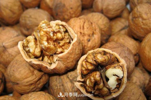 來(lái)南陽(yáng)旅游有什么不得不帶走的十大名優(yōu)特產(chǎn)？(圖5)