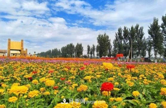 南陽很適合發(fā)展生態(tài)農業(yè)(圖1)