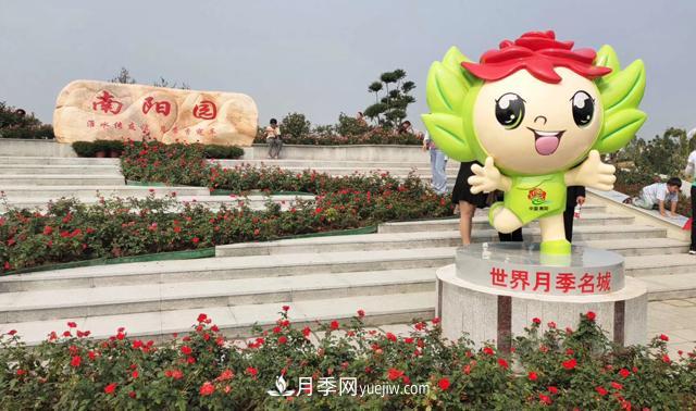 南陽月季香飄九洲，南陽市臥龍區(qū)月季產(chǎn)業(yè)發(fā)展綜述(圖1)