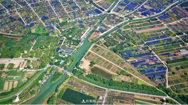 廣東省中山市橫欄鎮(zhèn)，這個(gè)3萬(wàn)畝的花木之鄉(xiāng)，畝均年產(chǎn)值竟達(dá)10萬(wàn)元(圖8)