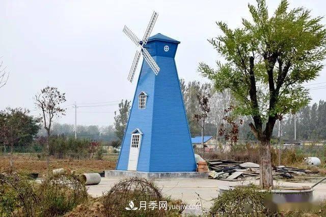 山東滕州北辛街道建成一座月季花海，總占地100畝真漂亮！(圖2)