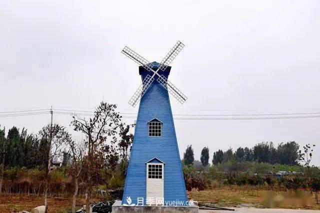 山東滕州北辛街道建成一座月季花海，總占地100畝真漂亮！(圖11)