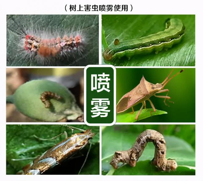 8種花木常用農(nóng)藥介紹，價格便宜效果很好(圖3)