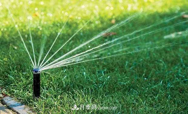 如何延長(zhǎng)綠化草坪綠期，提高園林觀賞價(jià)值(圖1)