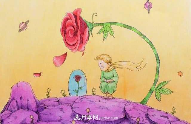 小王子愛的是“月季花”？(圖3)