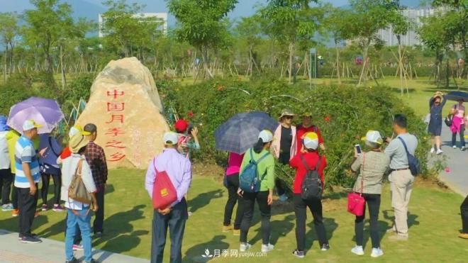 立冬已過，小雪將至~ 肇慶新區(qū)月季園景色獨(dú)好、風(fēng)光別致(圖3)