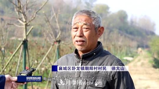 襄陽發(fā)揚(yáng)五中全會(huì)精神 發(fā)展月季產(chǎn)業(yè)花開幸福來(圖4)