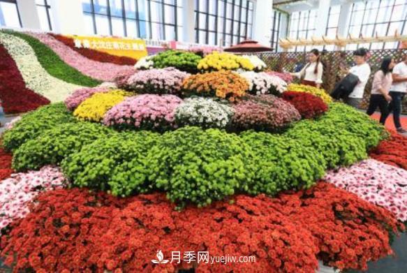 中國花卉協(xié)會綠化觀賞苗木分會介紹(圖1)