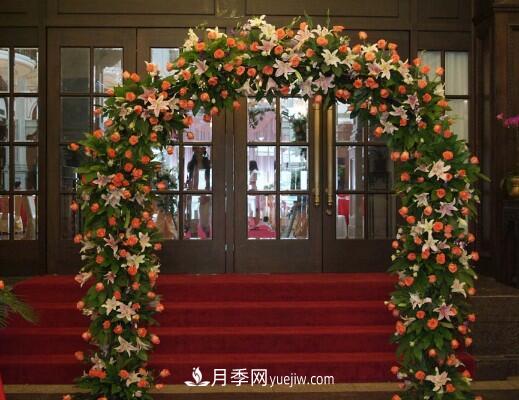 藤本月季在園林和庭院的創(chuàng)意運用(圖3)