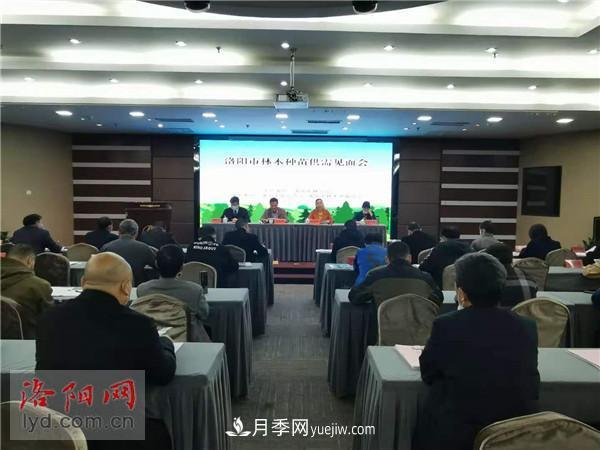 2.2億株！洛陽市可供今冬明春國土綠化使用的苗木種類齊全(圖1)