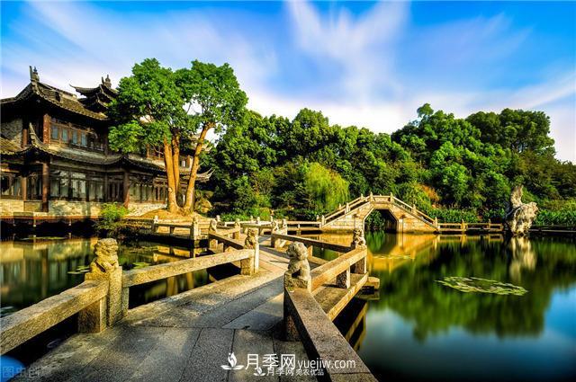 園林綠化樹苗木的培育技術(shù)，效益可觀！(圖1)